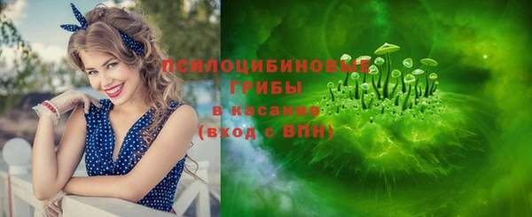 mdma Бородино