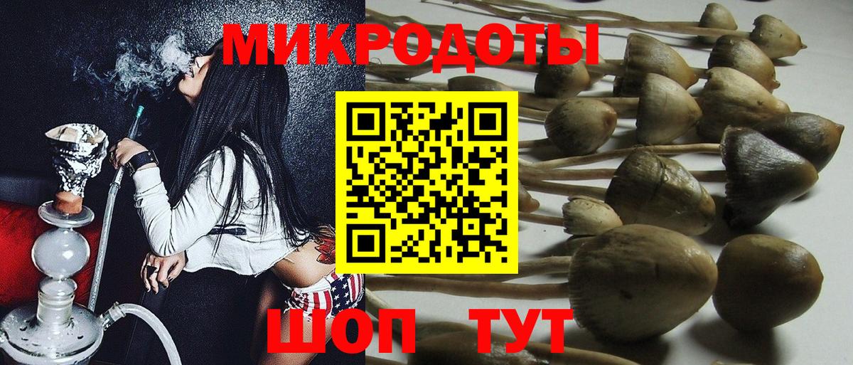 Медногорск  Галлюциногенные грибы MAGIC MUSHROOMS  Псилоцибиновые грибы MAGIC MUSHROOMS  Вход с VPN 